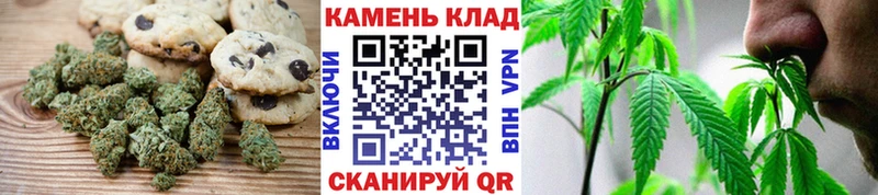 Купить где  Корсаков  Canna-Cookies конопля 