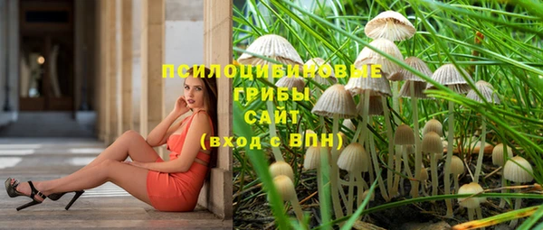 дживик Вяземский